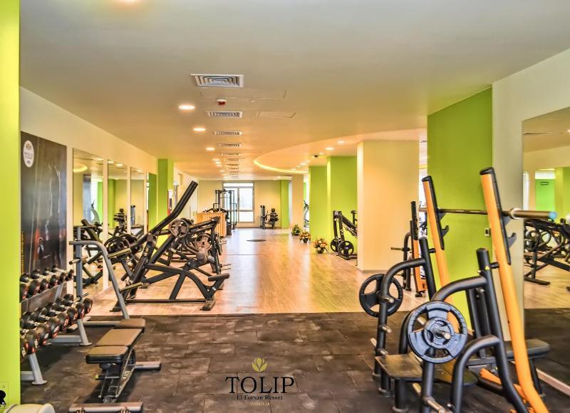 Tolip El Forsan Hotel Ismailia Exterior foto The gym at Tulip Inn